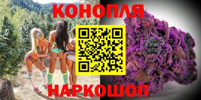 бошки Славгород
