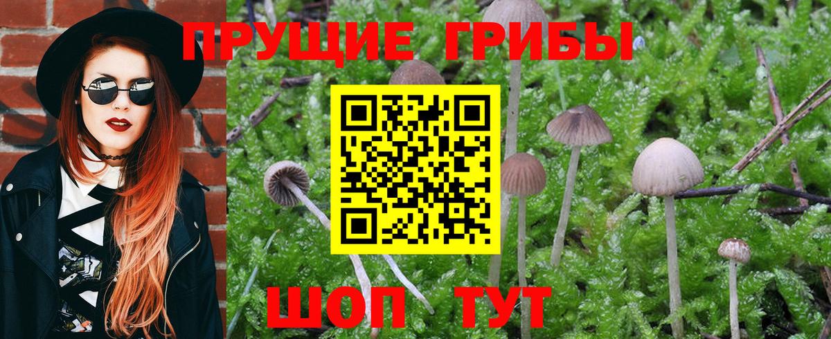 Псилоцибиновые грибы MAGIC MUSHROOMS  Псилоцибиновые грибы мухоморы  Вход с VPN  Пушкино 
