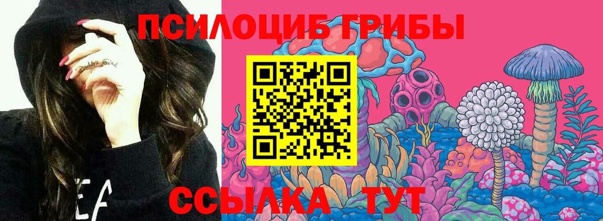 Галлюциногенные грибы прущие грибы Пушкино